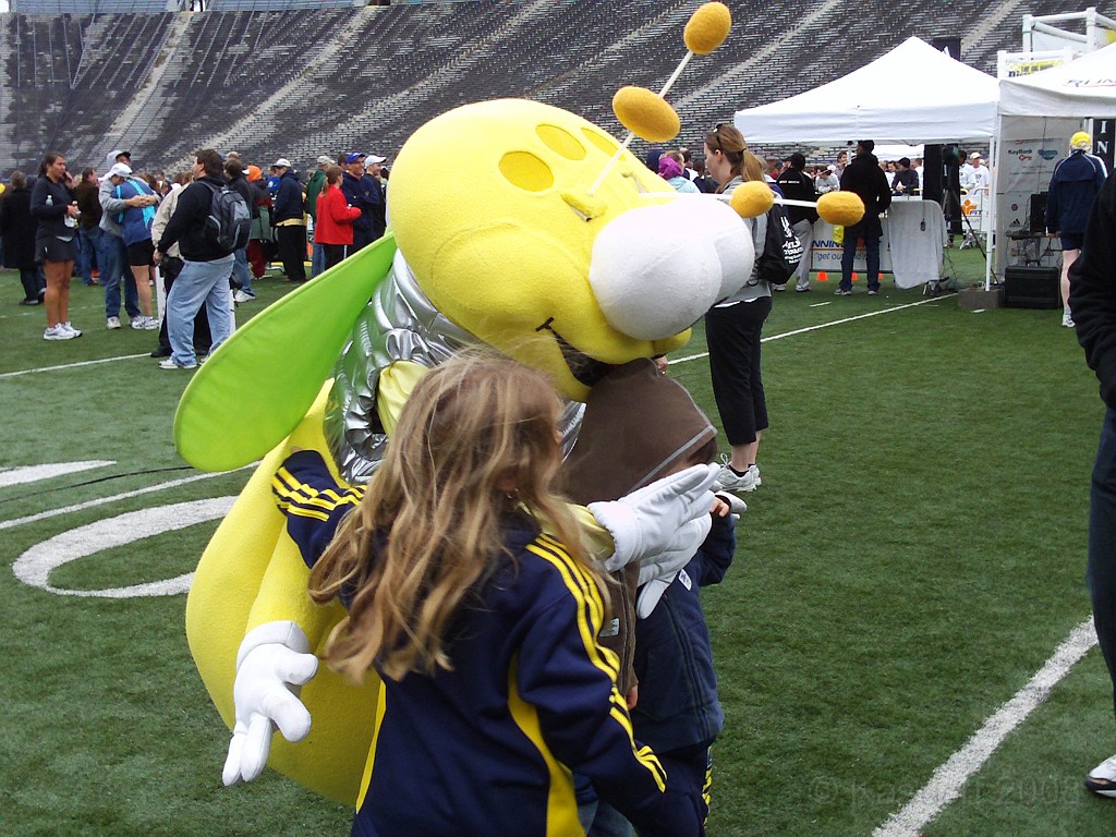 BHGH 2009 0341.jpg - The Big House Big Heat 5 and 10 K race. October 4, 2009 run in Ann Arbor Michigan finishes on the 50 yard line of the University of Michigan stadium.